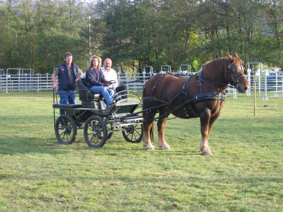 Foire Internationale du Cheval